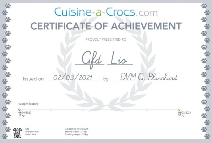 growth completion diploma for a puppy